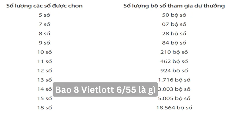 Thông tin liên quan bao 8 Vietlott 6/55 là gì? Bao 8 Vietlott 6/55 bao nhiêu tiền