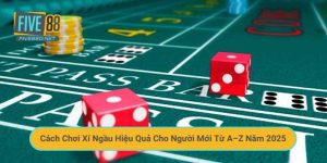 Cách Chơi Xí Ngầu Hiệu Quả Cho Người Mới Từ A–Z Năm 2025