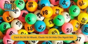 Cách Dò Xổ Số Nhanh, Chuẩn Và Dễ Hiểu Cho Người Mới