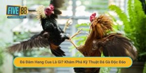 Đá Đâm Hang Cua Là Gì? Khám Phá Kỹ Thuật Đá Gà Độc Đáo