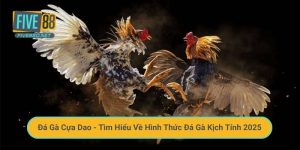 Đá Gà Cựa Dao - Tìm Hiểu Về Hình Thức Đá Gà Kịch Tính 2025