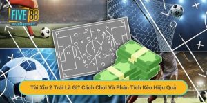 Tài Xỉu 2 Trái Là Gì? Cách Chơi Và Phân Tích Kèo Hiệu Quả